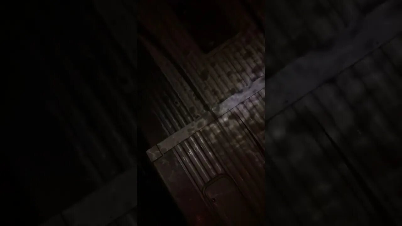 Creepy Night Ripples