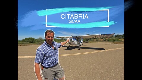 The Citabria