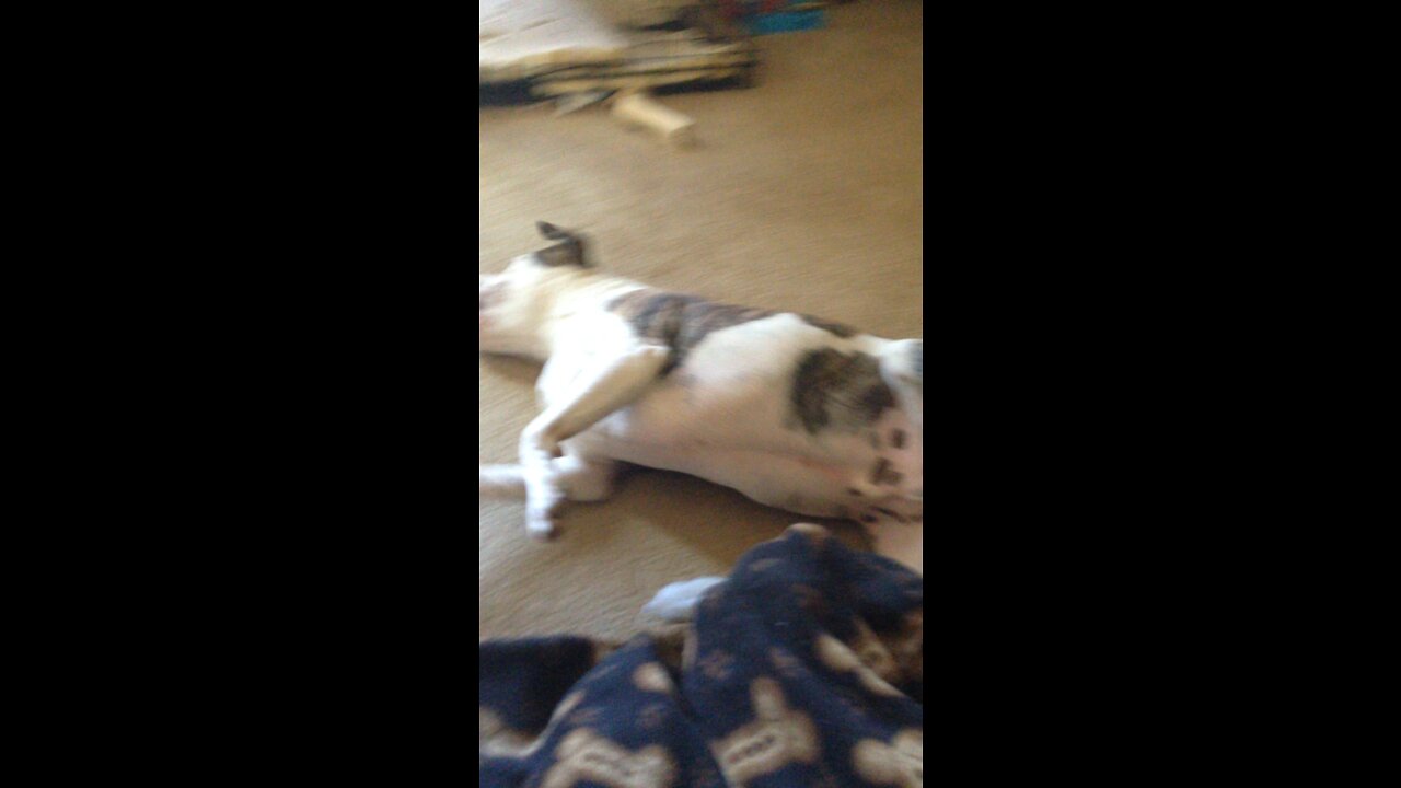 Juno