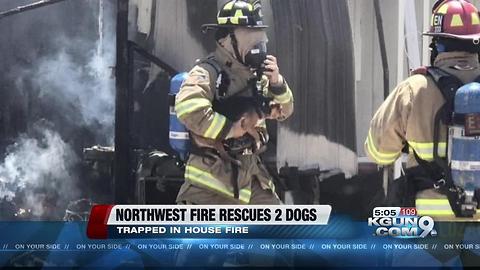 Crews rescue two dogs from burning house