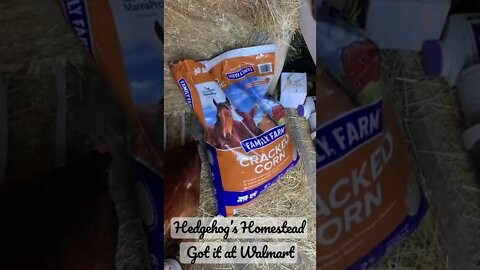 Chicken treats￼
