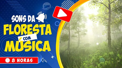 🎧 MÚSICA RELAXANTE COM SONS DA FLORESTA PARA VENCER O STRESS E INSÓNIA 🌳 SONS DA NATUREZA 🕒 8 HORAS