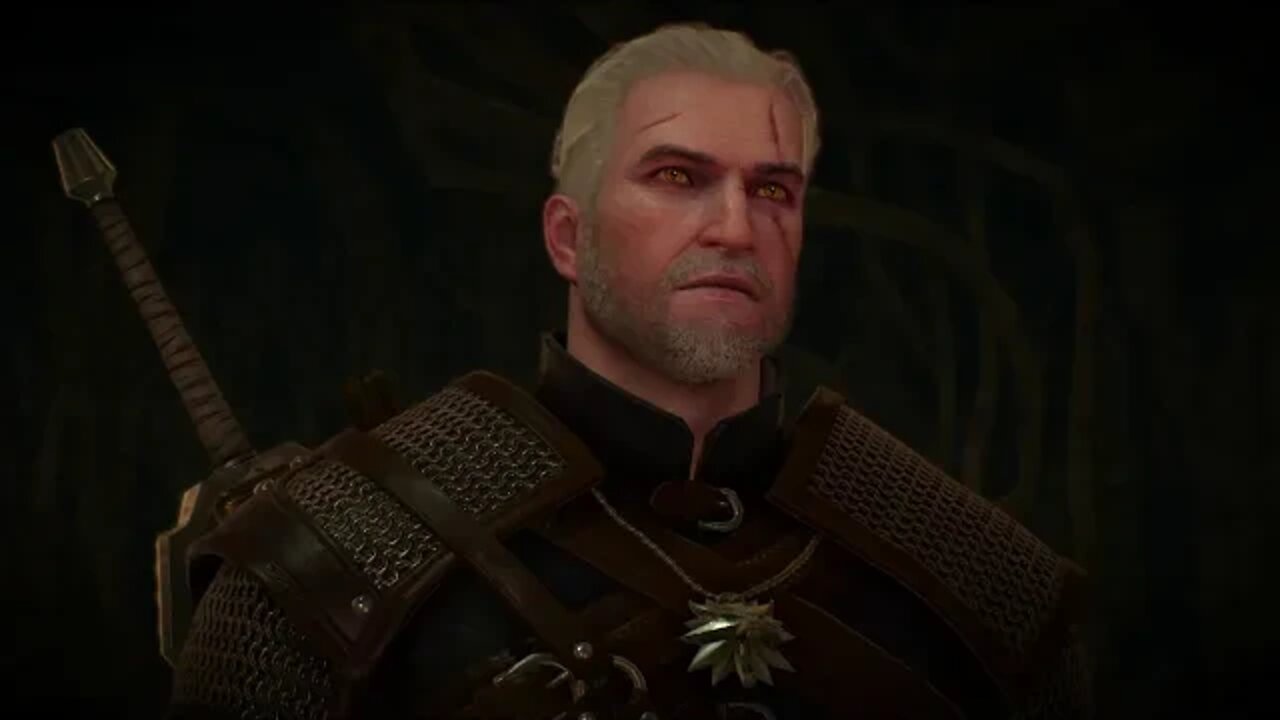 The Witcher 3: Wild Hunt Part 39-The Ghost In The Tower