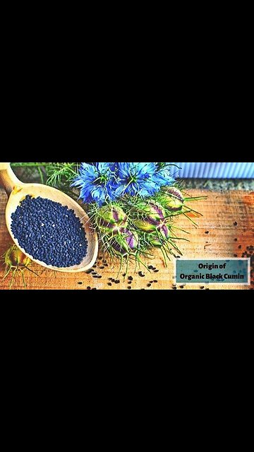 ⚠️⚠️⚠️ SHELF STABLE BUTTER....