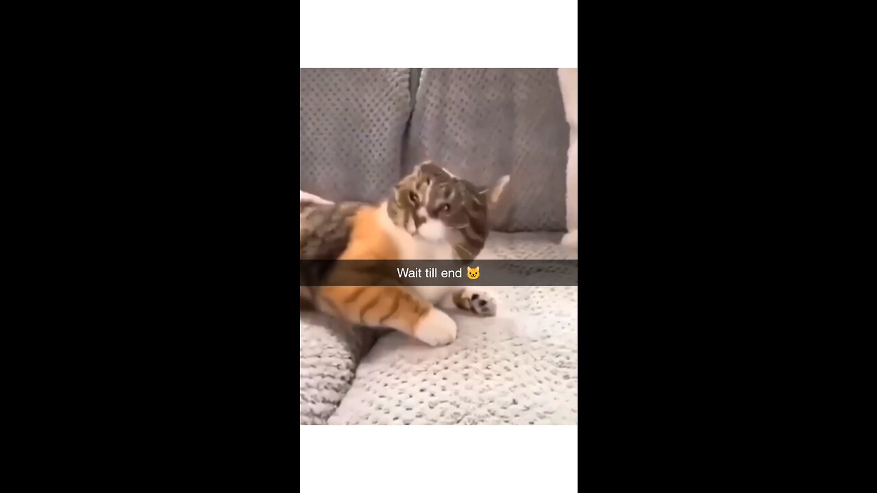 Follow us for more 😂