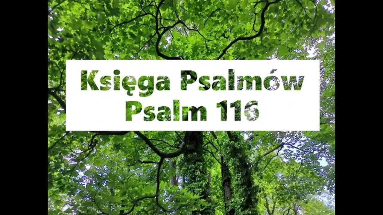 Księga Psalmów - Psalm 116