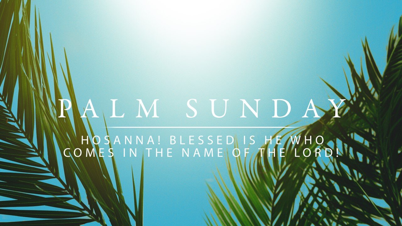 Matthew 21 // Palm Sunday