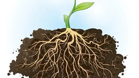 Getting To The ROOT: African Spirituality - PART 1