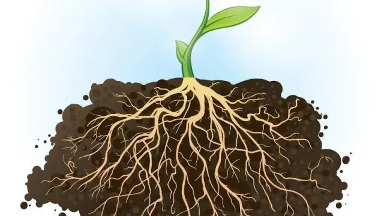 Getting To The ROOT: African Spirituality - PART 1