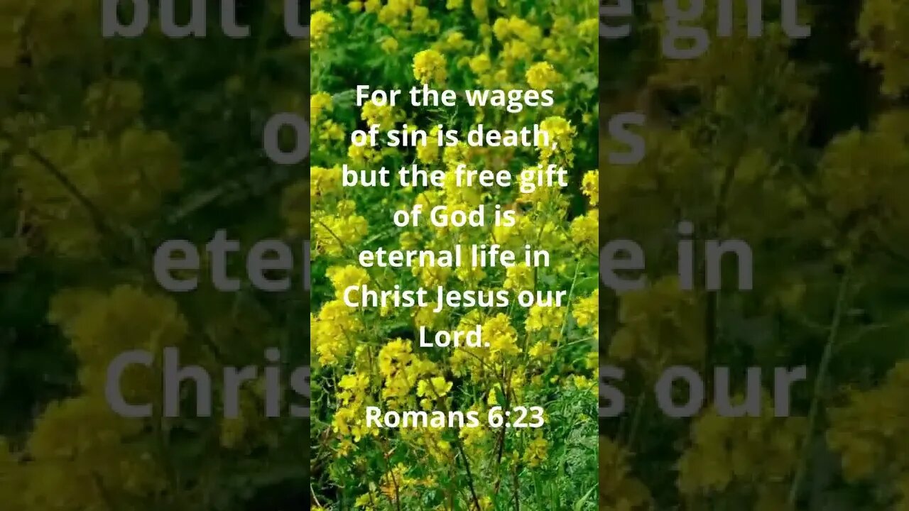 ETERNAL LIFE IS HIS FREE GIFT!! | MEMORIZE HIS VERSES TODAY | Romans 6:23