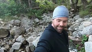 The torf story and the tree roots