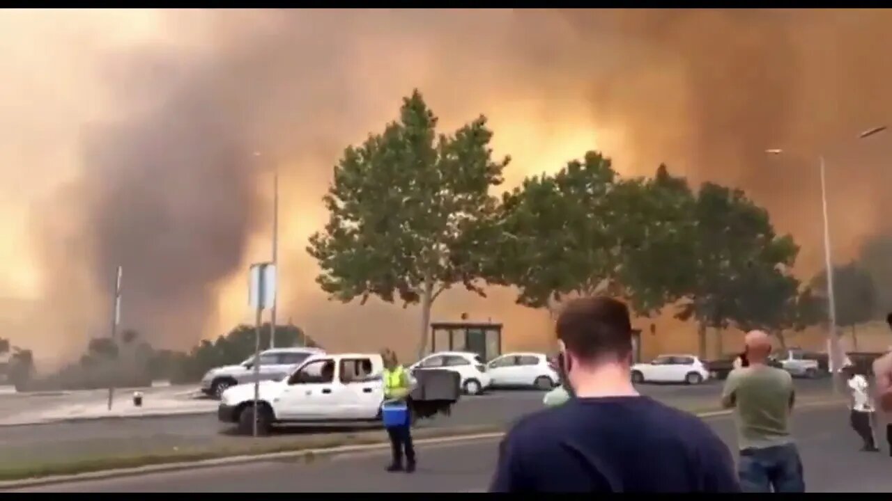 Portugal Heatwave and wildfires KILL 1000