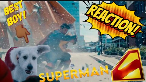 Superman New Trailer Breaks Internet! We reach from fan and normie point of view! #supermanthemovie