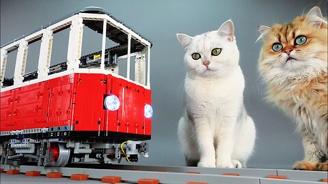 Building a Cat-Sized Lego Train