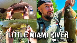 CATCH EM ALL!!! ... in the Little Miami!! (Milford, Ohio)