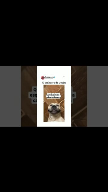 CUIDADO GALERA 😂, SE INSCREVE NO CANAL OU ELE VAI PEGAR SUA CARNE FORA DA GELADEIRA