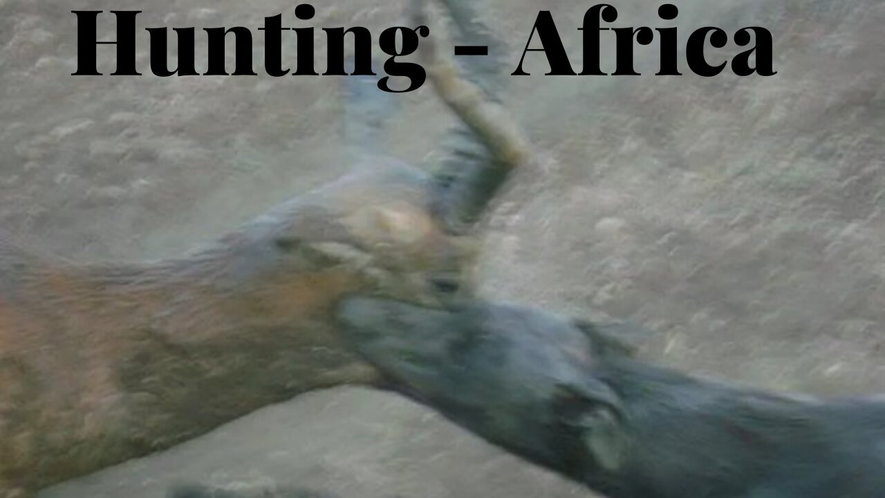 Hunting - Africa
