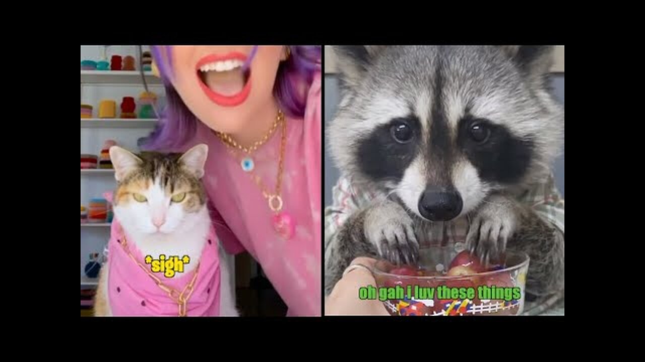 Best Animal Voiceovers - (NEW)