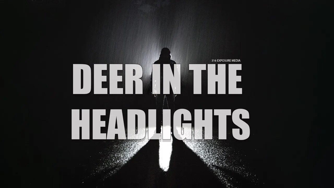 A Deer in the Headlights - Evil is Not Going Away