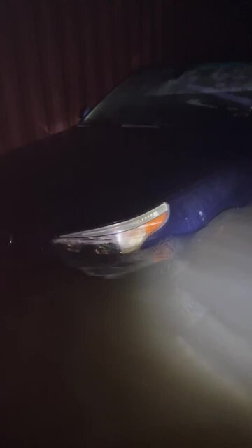 Group of people searching the area to help with rescue | Video Credit: @relentless4.6 / Instagram