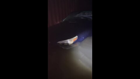 Group of people searching the area to help with rescue | Video Credit: @relentless4.6 / Instagram
