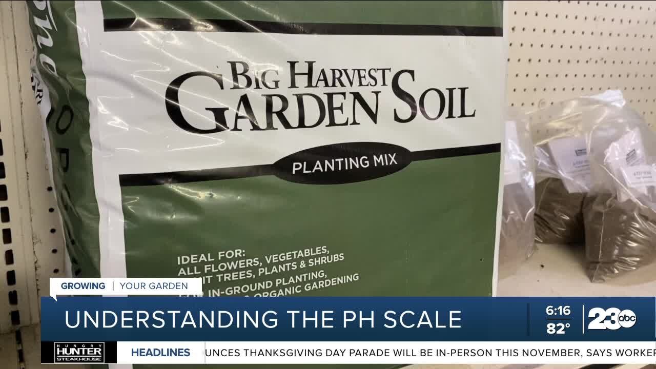 Growing Your Garden: Understanding how the pH scale affects plants