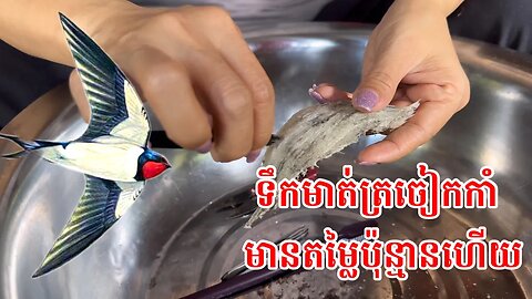 តើអ្នកគួវិនិយោគលើ ផ្ទះត្រចៀកកាំដែរទេ?