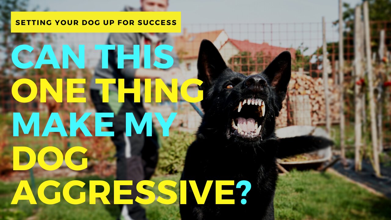 CAN THIS ONE THING MAKE MY DOG AGGRESSIVE?