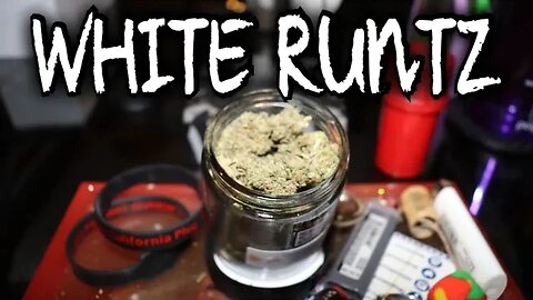 White Runtz | THCA | BLACK LABEL TOP SHELF | JK DISTRO