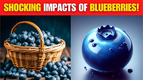 Benefits of BLUEBERRIES in 2024!