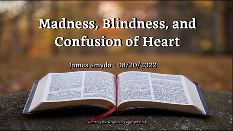 James Smyda - Madness, Blindness, and Confusion of Heart