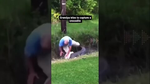 This man attack an alligator ￼#shorts