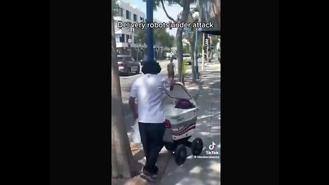 DELIVERY ROBOTS UNDER ATTACK