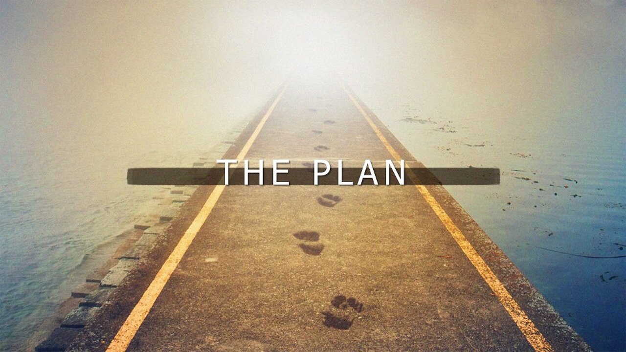 The Plan | Contemporary