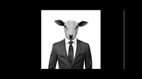 If You’re A BOSS You Need To Know This!