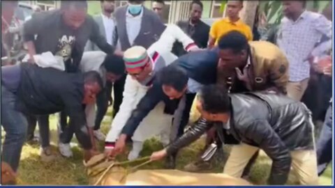 አዲሱ የኦፌኮ የጋራ በሬ እርድ ለኦርቶዶክስ ቤተክርስቲያን ምን ይዞ ሊመጣ ነው?