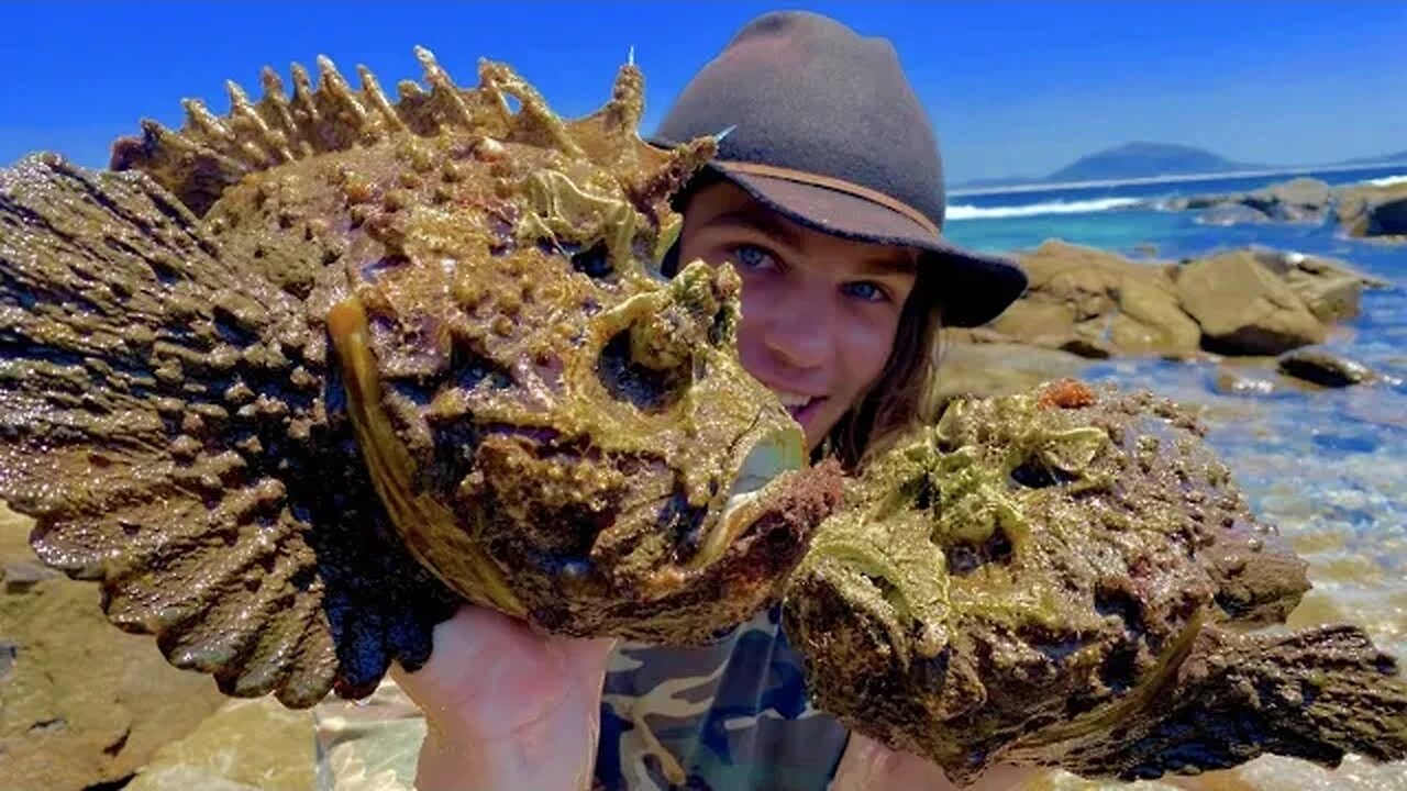 Milking the WORLDS MOST VENOMOUS FISH! (STONEFISH)