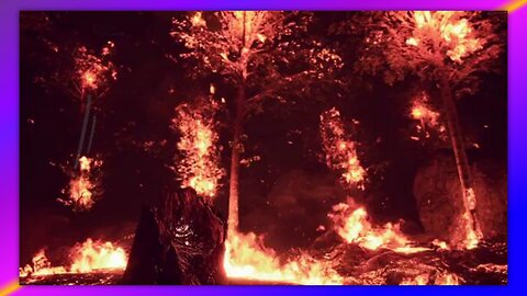 MAUI FIRES - LET'S DIG A LITTLE DEEPER SHALL WE