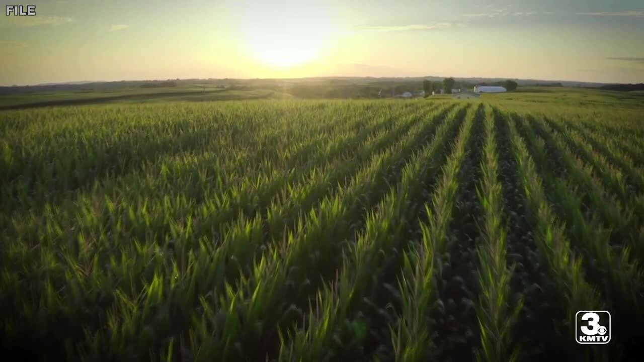 High suicide rates and mental health issues big concern in farming, ranching communities