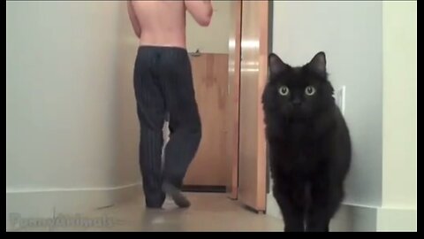Cute Animals - Funny Cats- Funny Dogs- Funny Animals. Video # 59