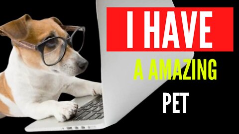 I HAVE A AMAZING PET
