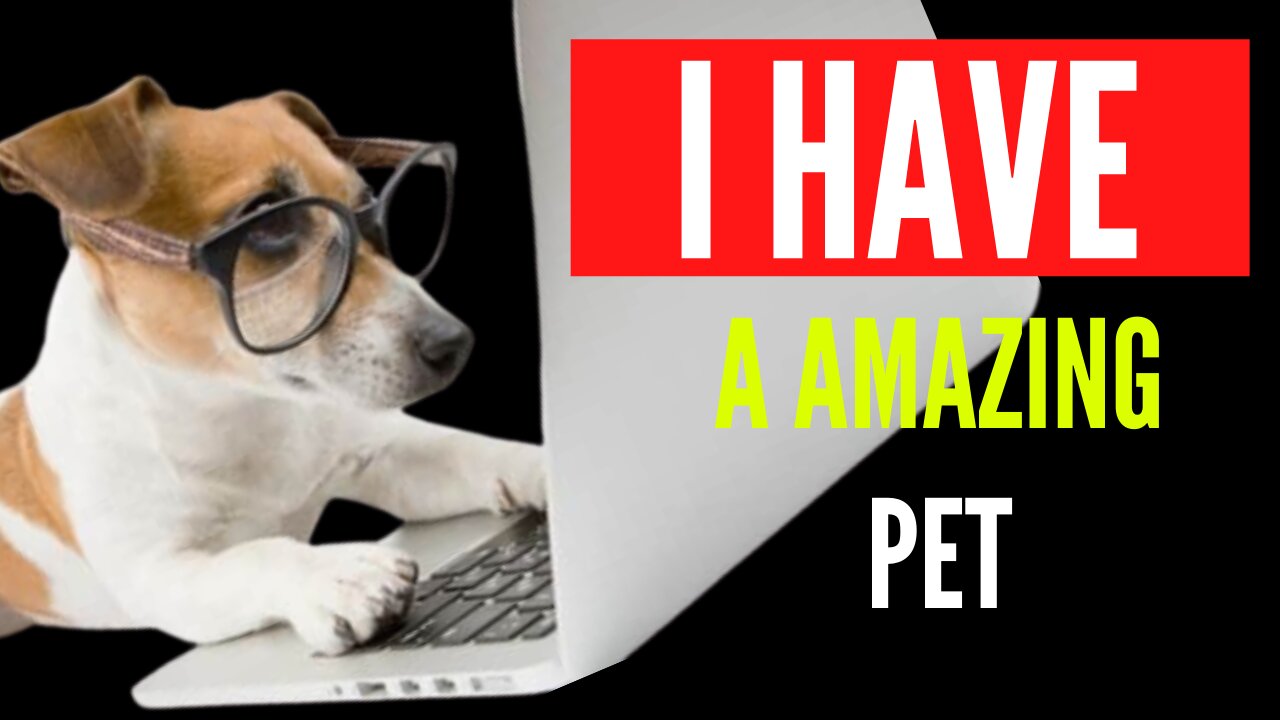 I HAVE A AMAZING PET