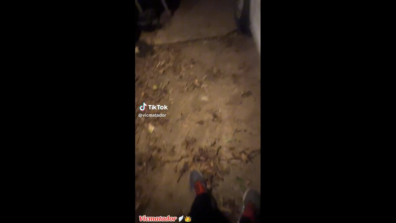 What’s Up With The Moon?