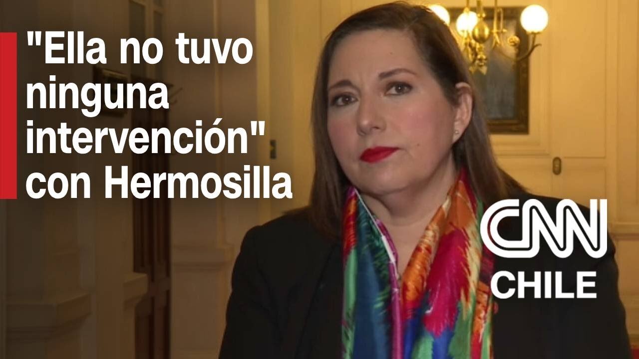 Paulina Vodanovic abordó mención de Ana Lya Uriarte en chats de Luis Hermosilla