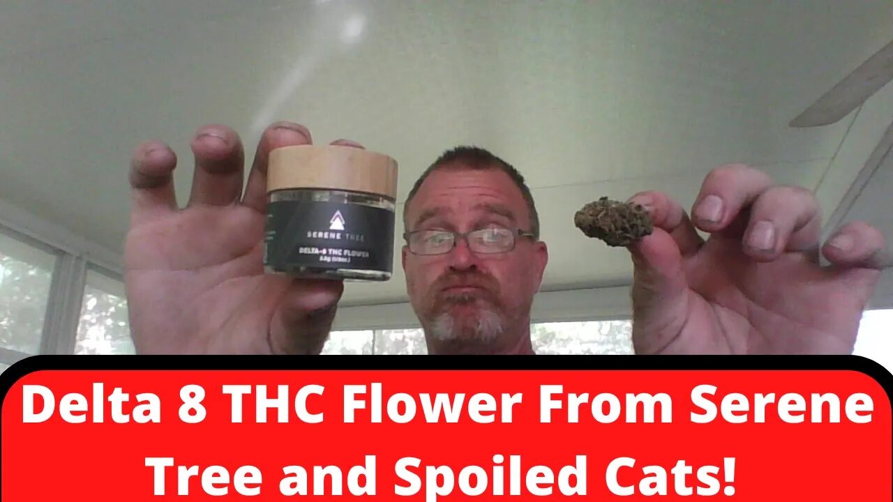 Delta 8 THC Flower From Serene Tree and Spoiled Cats!