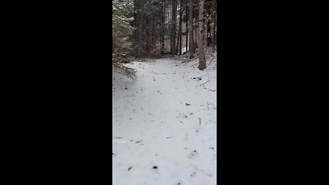 Fresh Snow! #logcabin