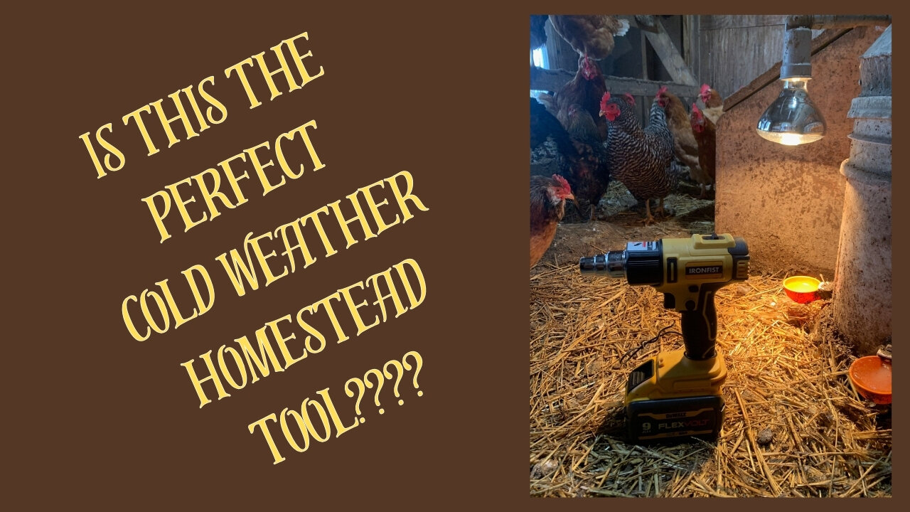 The BEST cold weather HOMESTEAD tool?