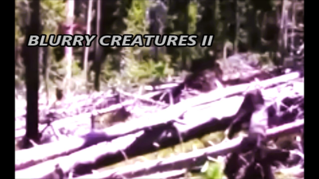 World Bigfoot Radio #152 Pt. 2 ~ Blurry Creatures interview/ Duke