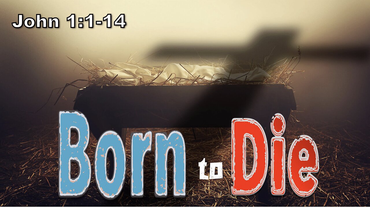 Born to Die