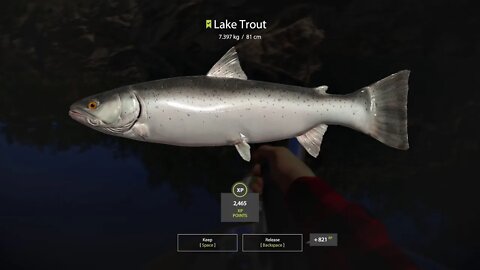 Russian Fishing 4 Kuori lake Lake Trout 7 . 397 Kg